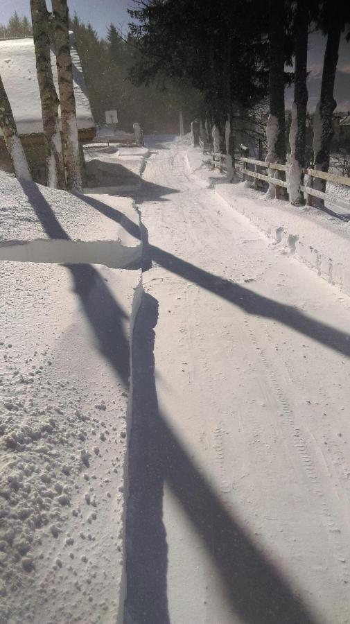 Chalet Les Sorbiers Egat Exteriör bild